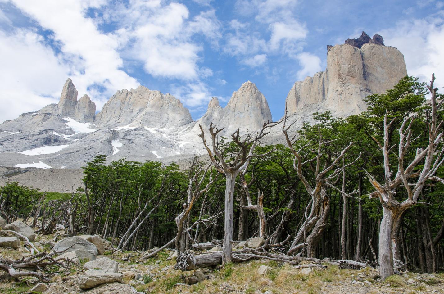 NP Torres del Paine