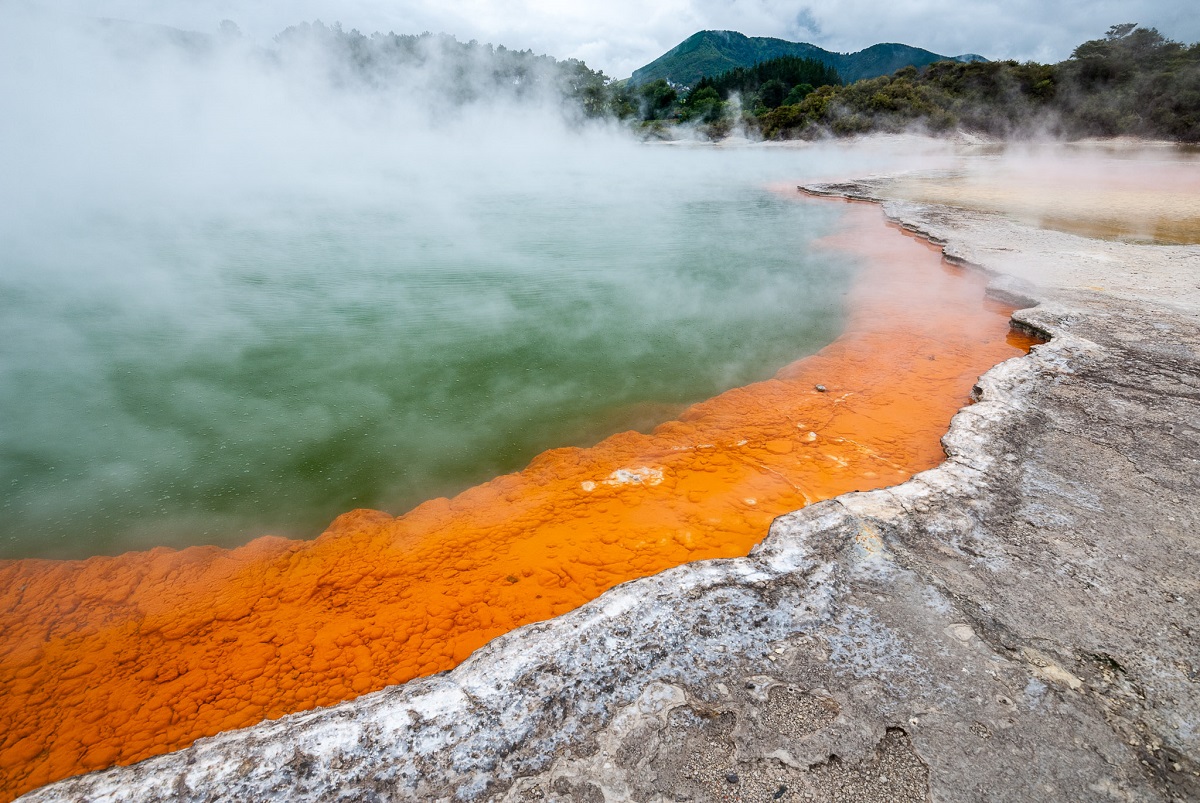 Nov� Z�land o�ima V�clava Bacovsk�ho 10